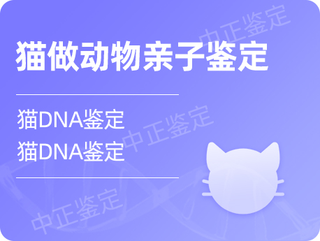 呼和浩特猫做动物亲子鉴定